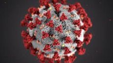 COVID-19 Jak to jest?