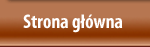 strona główna